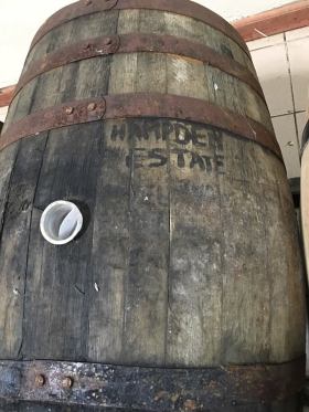 15965624_1150636531720863_7622446590760316266_n